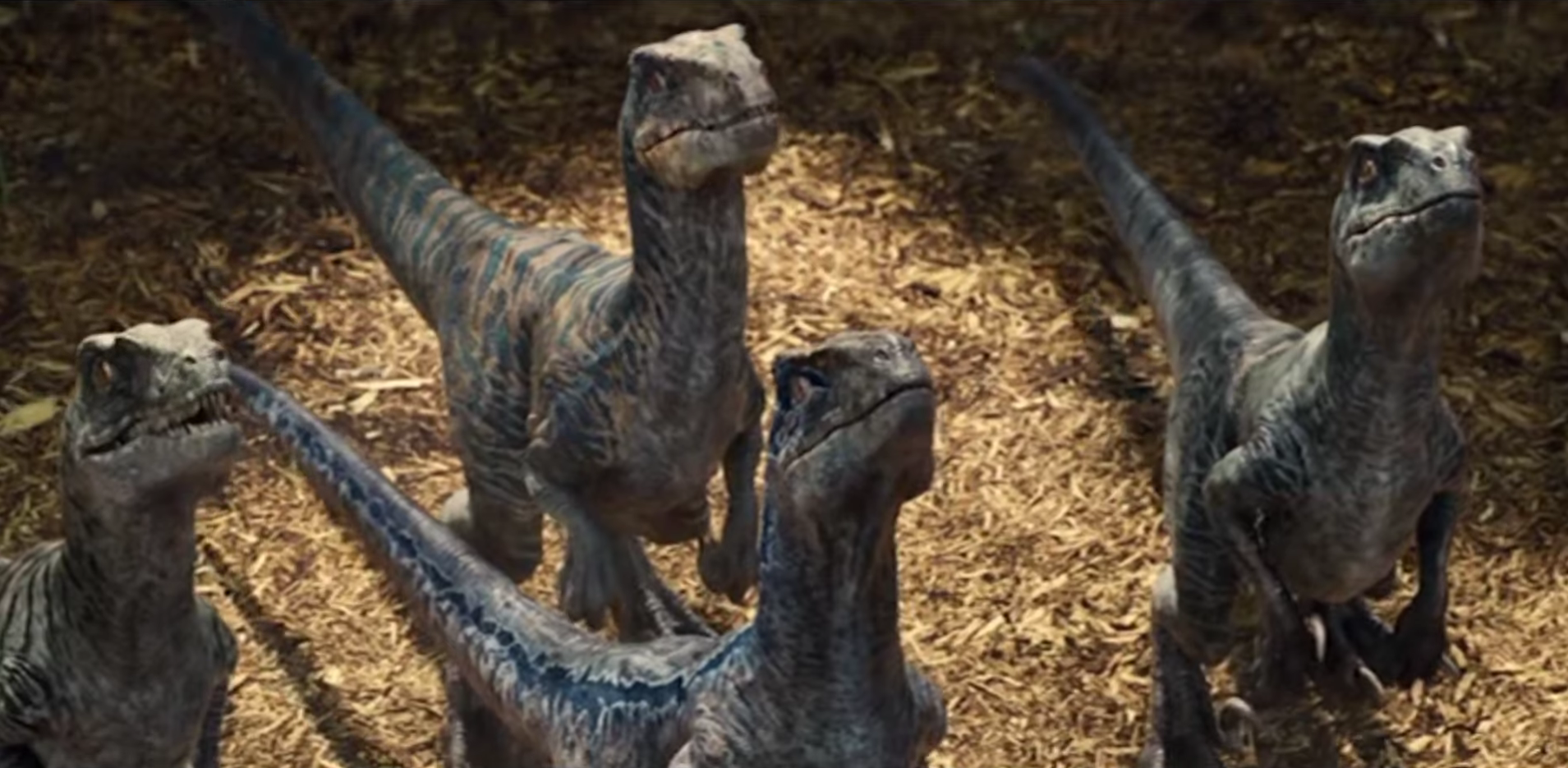 Tous les dinosaures du film Jurassic World