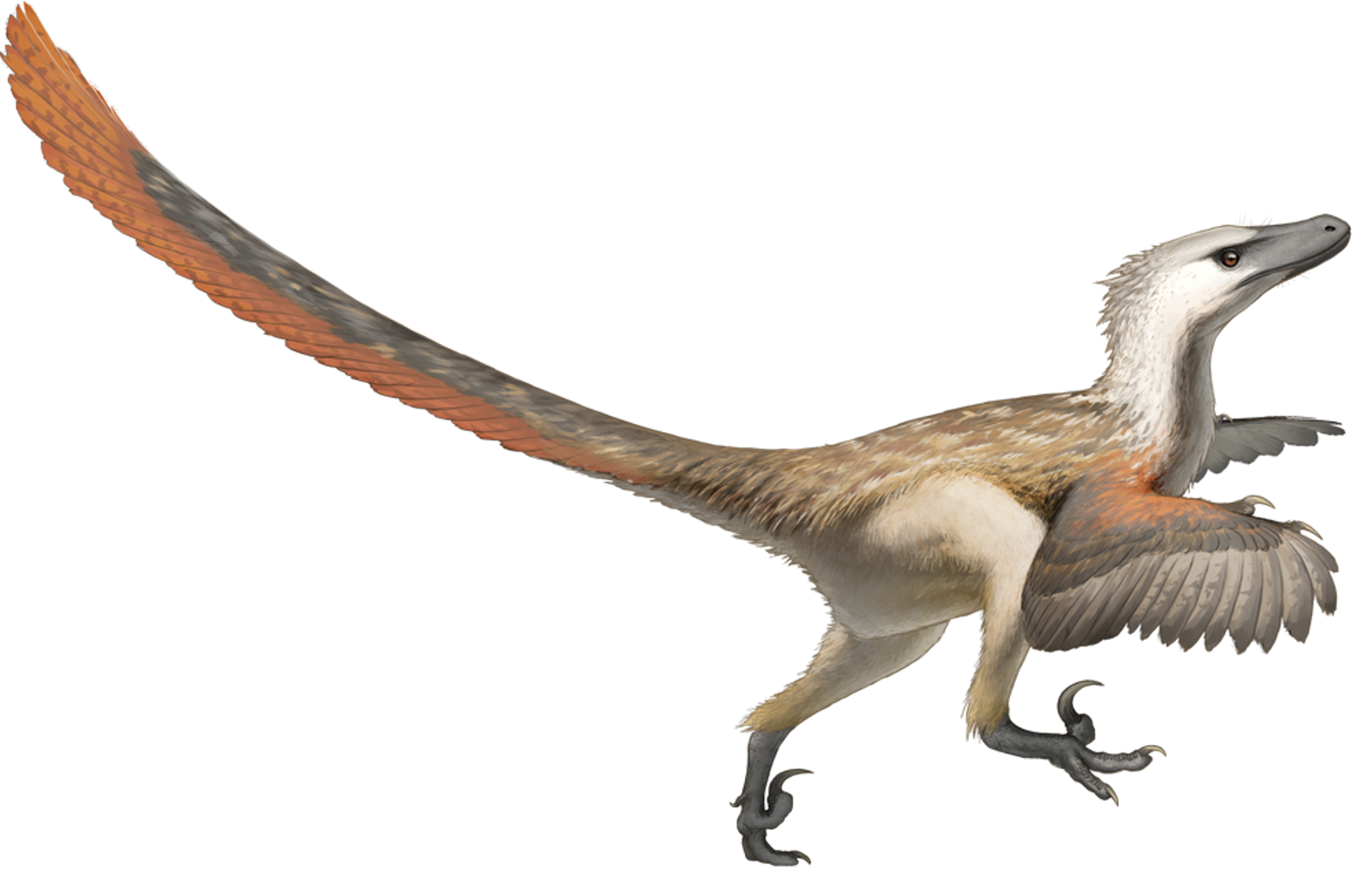 dessiner des dinosaures et d'autres créatures préhistoriques