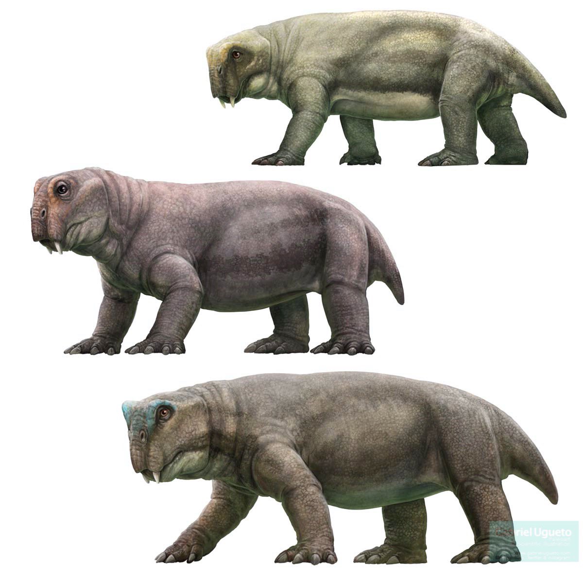 Les dinosaures de Jurassic World Dominion - Jurassic-Park.fr | Tout sur ...